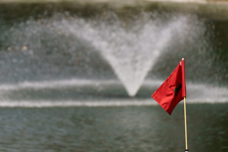 @Rodrigo Soto/pelotapasto