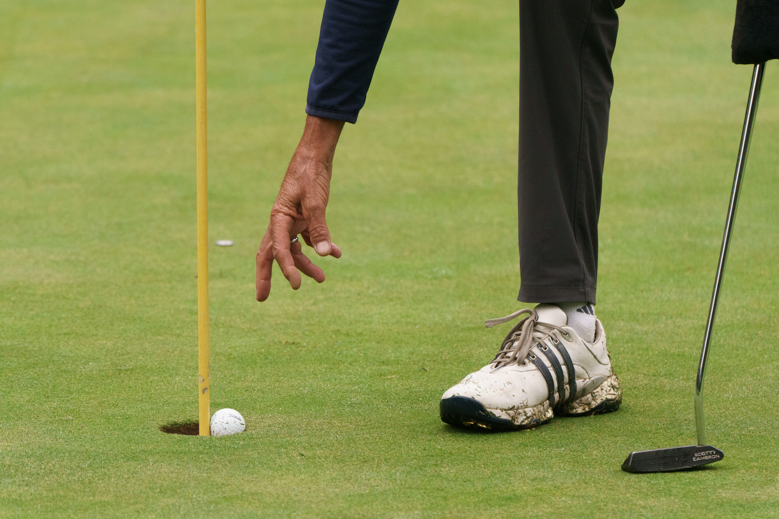 ©Rodrigo Soto/pelotapasto